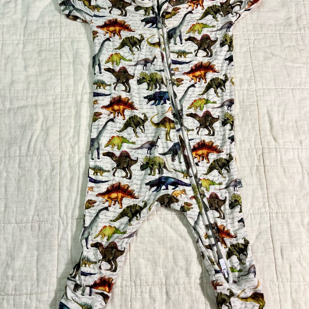 Bums and Roses Bamboo Dinosaur Adventure Shortsleeve bodysuit 3-6 Months